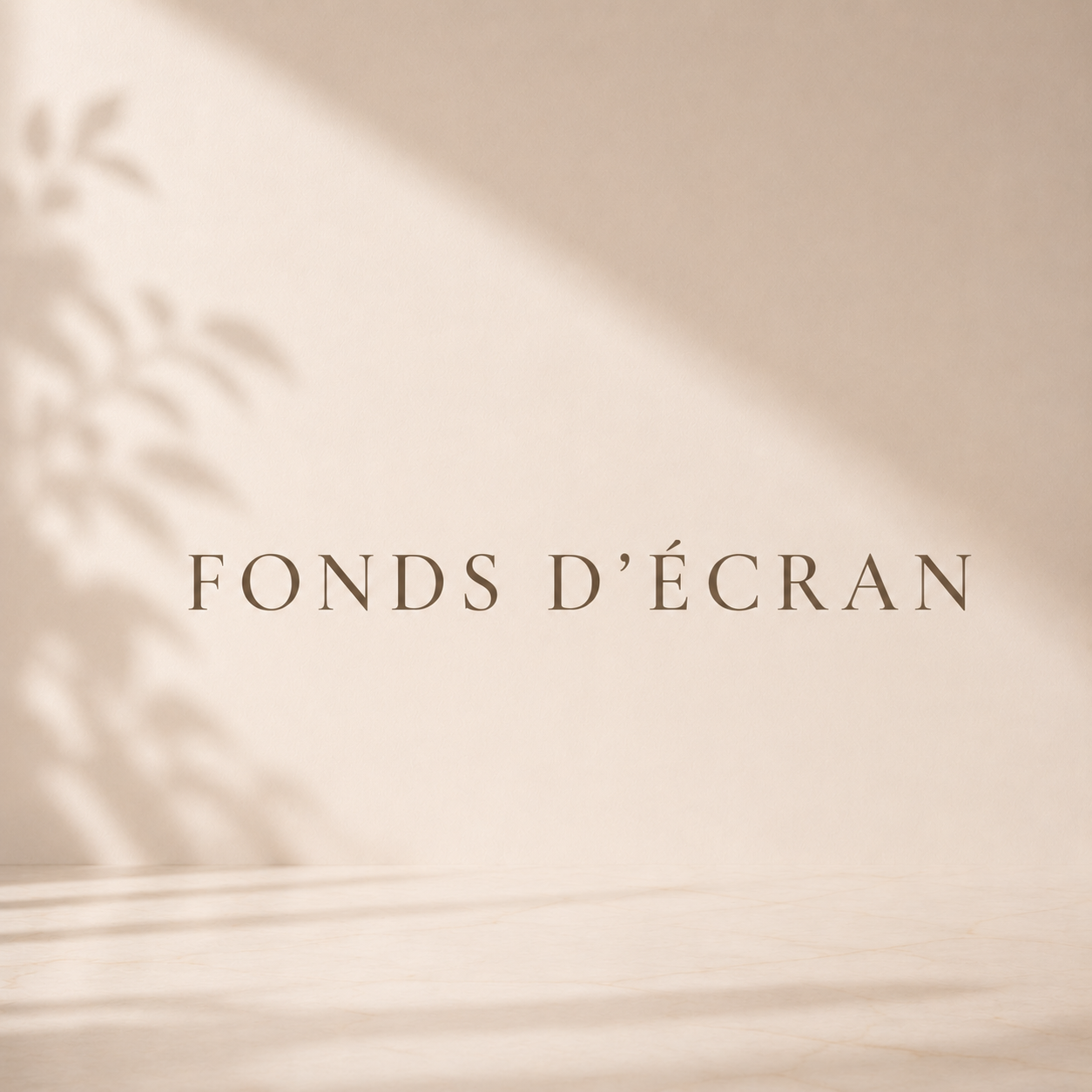 Fonds d'écran